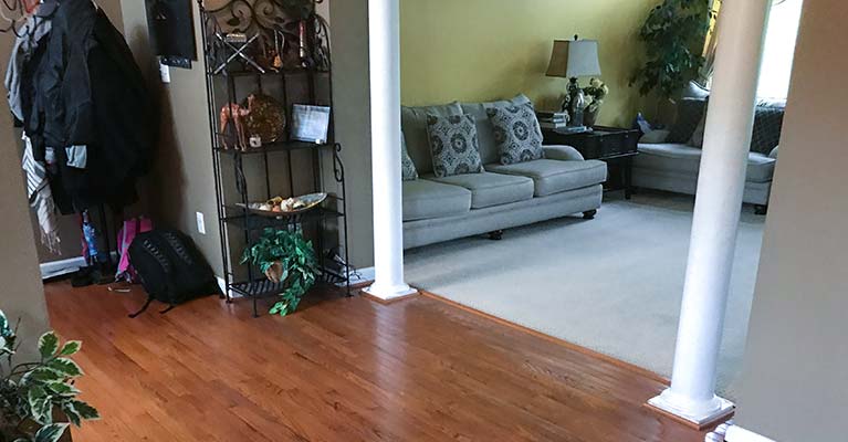 Wood Floor Cleaning and Refinishing Services